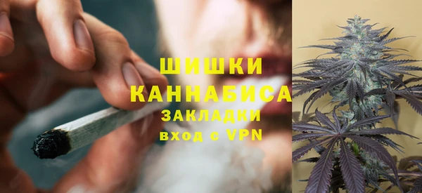 PSILOCYBIN Нея