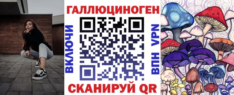 Псилоцибиновые грибы Psilocybe  Пугачёв 